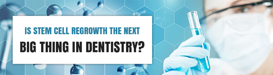 Is Stem Cell Regrowth the Next Big Thing in Dentistry?