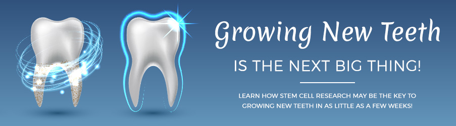 Growing New Teeth is the Next Big Thing